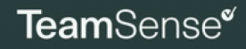 TeamSense logo